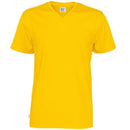 T-shirt V-neck Man (GOTS)